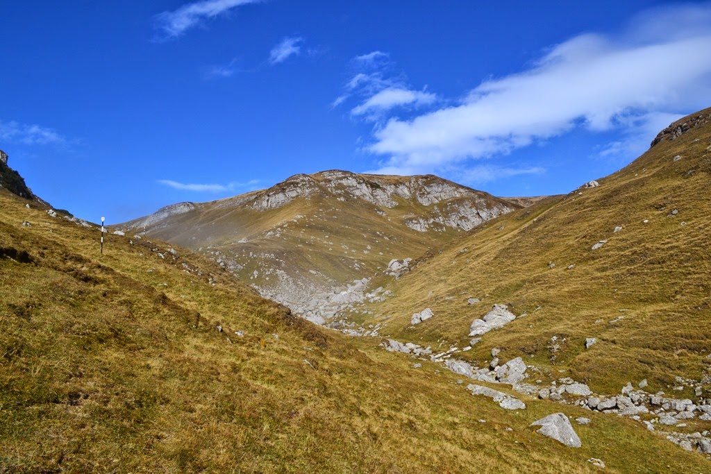 [DSC_29063.jpg]