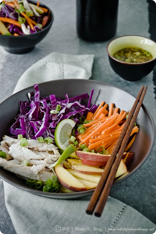 Asian Chicken Red Cabbage and Peach Salad (0006) by Meeta K. Wolff