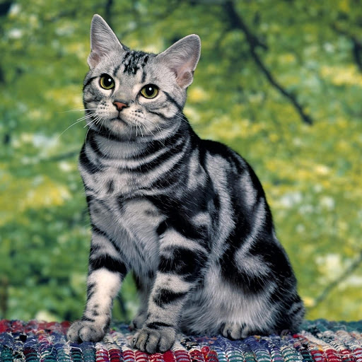 Hd-178493-ascw178493