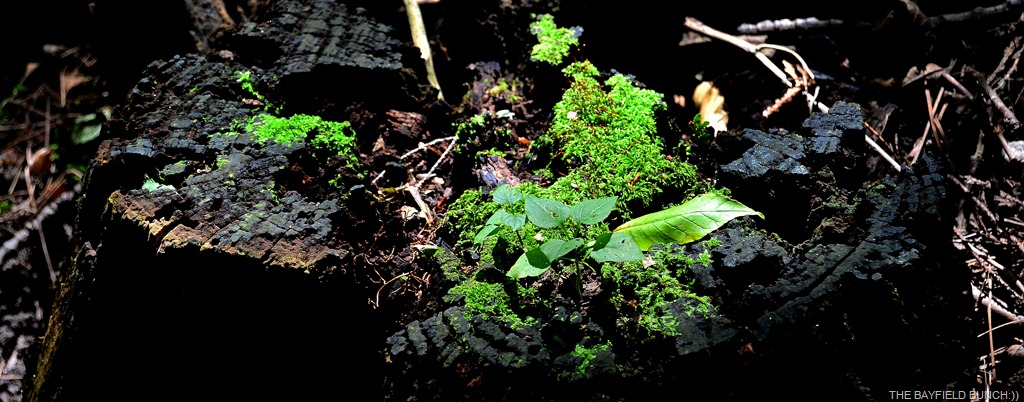 [DSC_0088%255B4%255D.jpg]