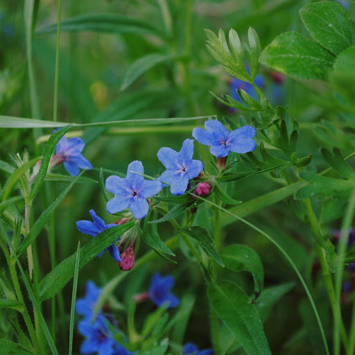 Hd-174305-ascw174305