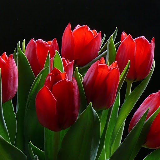 Hd-133151-ascw133151