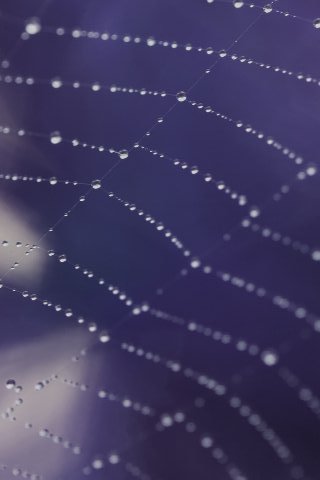 Misc-16