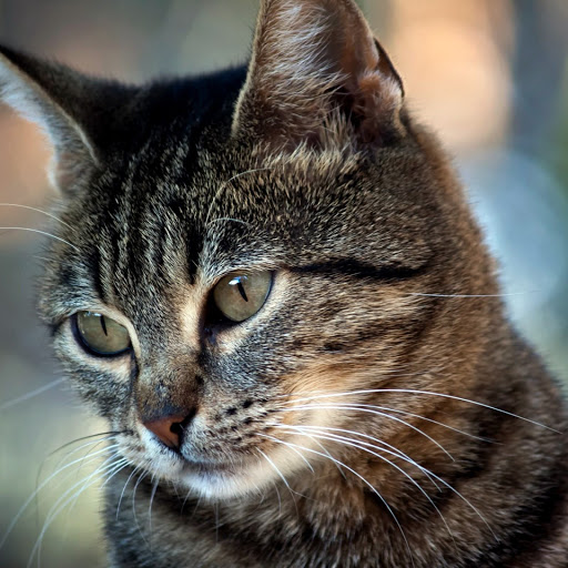 Hd-152763-ascw152763