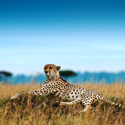 Hd-142708-ascw142708