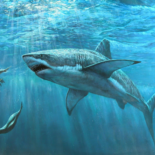 Hd-165506-ascw165506