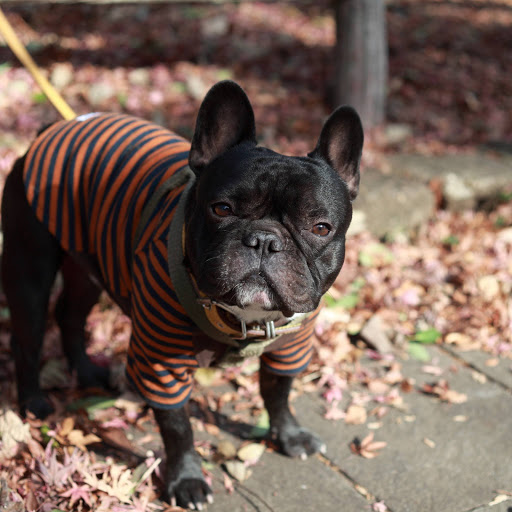 Hd-157163-ascw157163