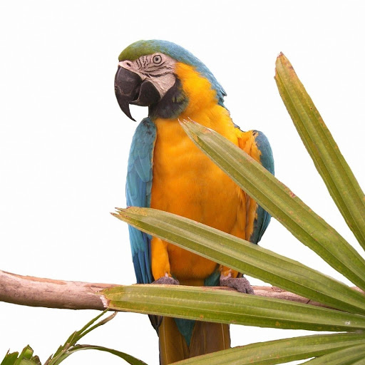 Hd-178647-ascw178647