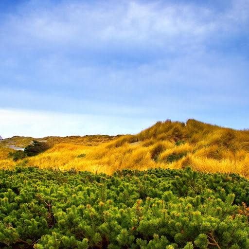 Hd-131802-ascw131802