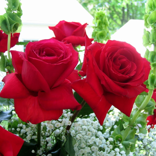 Hd-177229-ascw177229