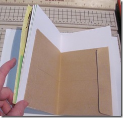 pamphlet book 3 hole lime green page w envelope