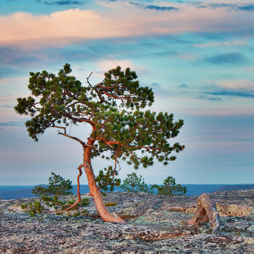 Hd-161342-ascw161342