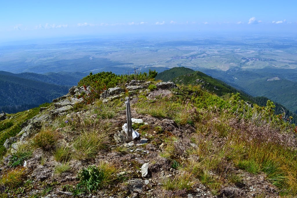 [DSC_21913.jpg]
