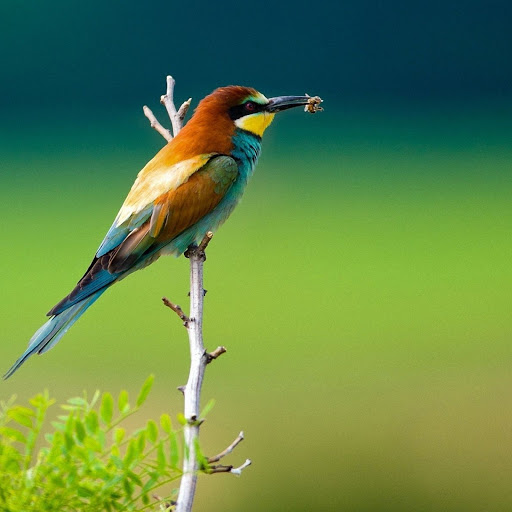 Hd-147168-ascw147168