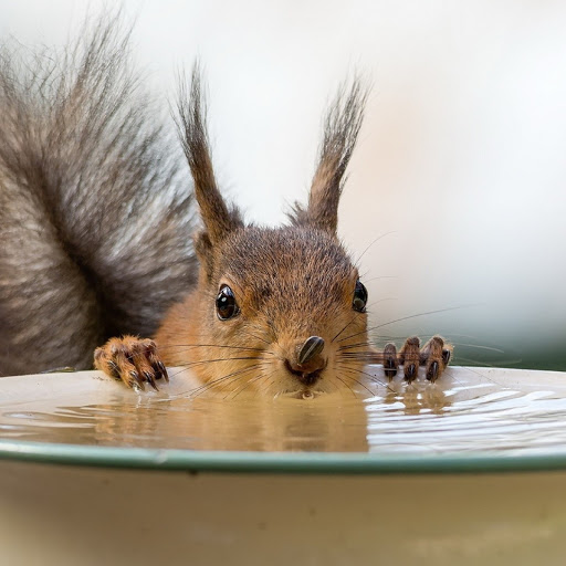 Hd-180108-ascw180108