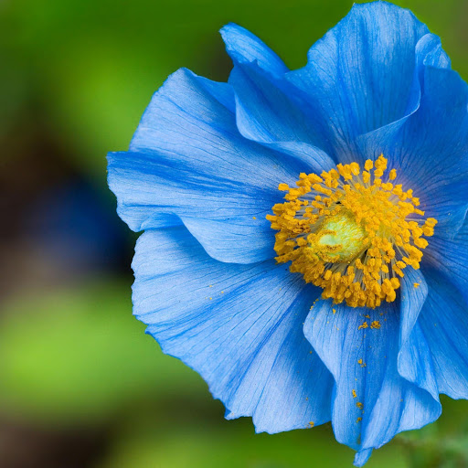 Hd-146641-ascw146641