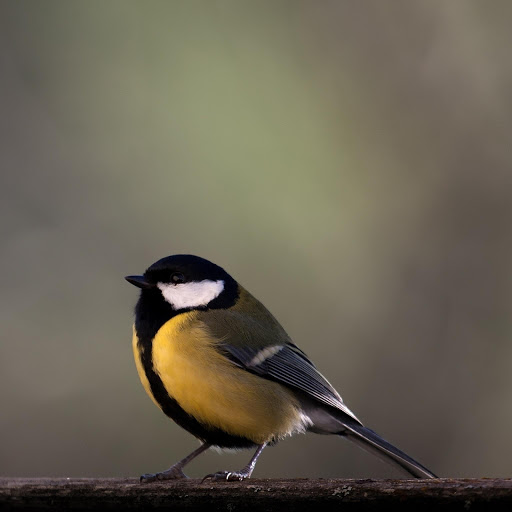 Hd-177825-ascw177825