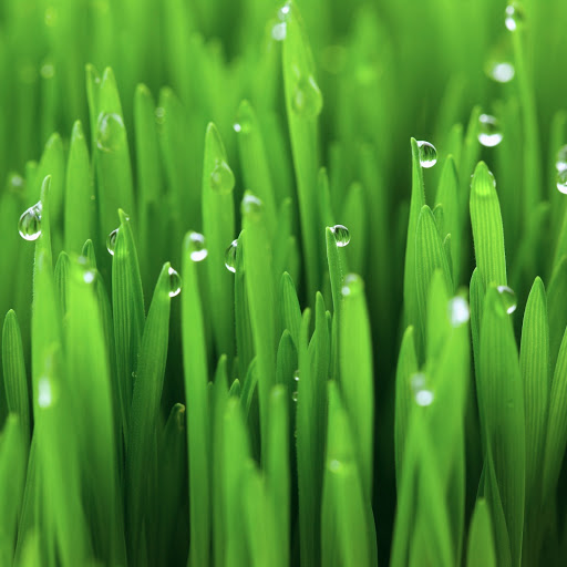 Hd-164428-ascw164428