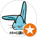 BlueRabbit Toys BlueRabbit Toys