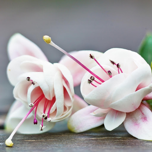 Hd-160416-ascw160416