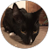 Cheryl N. Cheryl N.