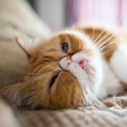 Hd-165003-ascw165003