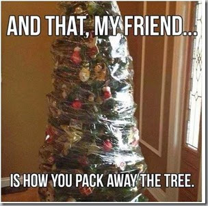 pack away the tree