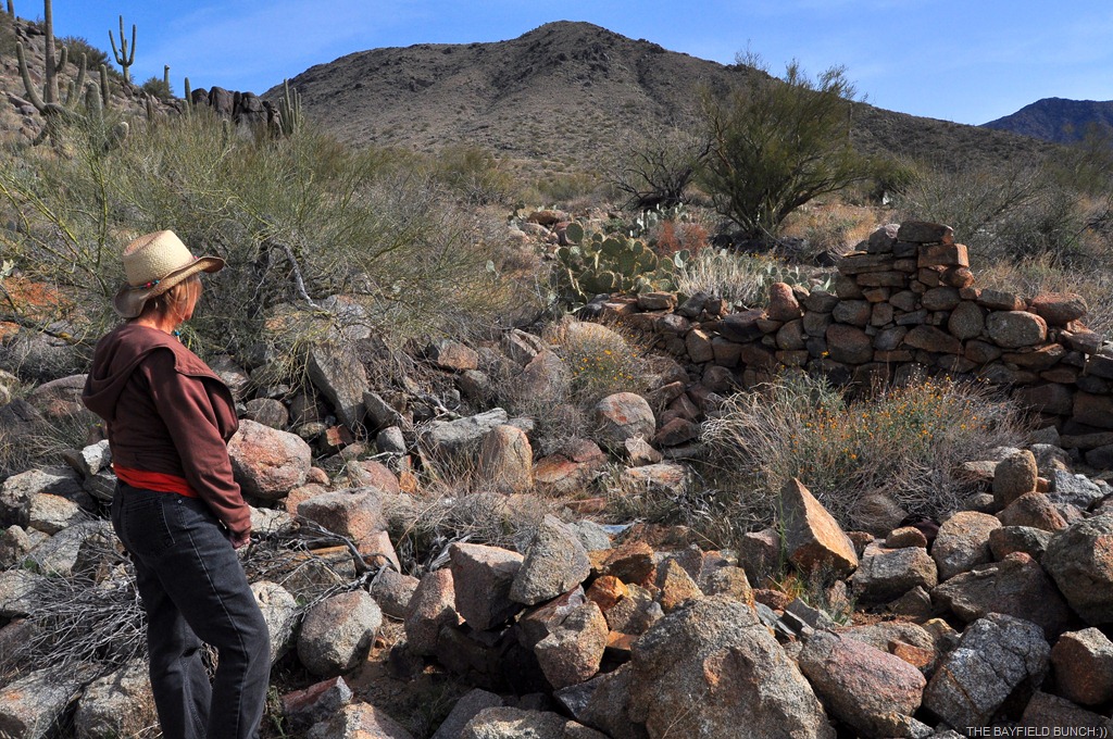 [DSC_0024%255B4%255D.jpg]