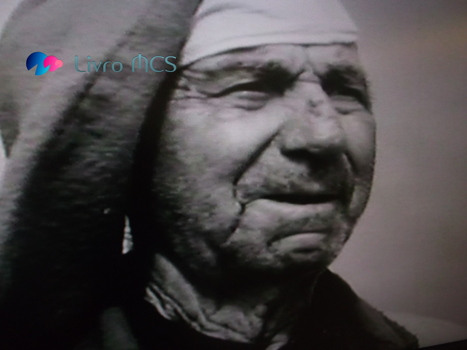 [BlogGazetadeEspinho010LivroMCS2.jpg]