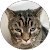 Shyla Schwickerath Shyla Schwickerath