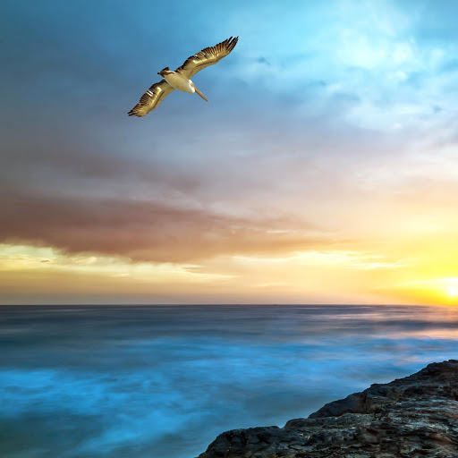 Hd-144244-ascw144244