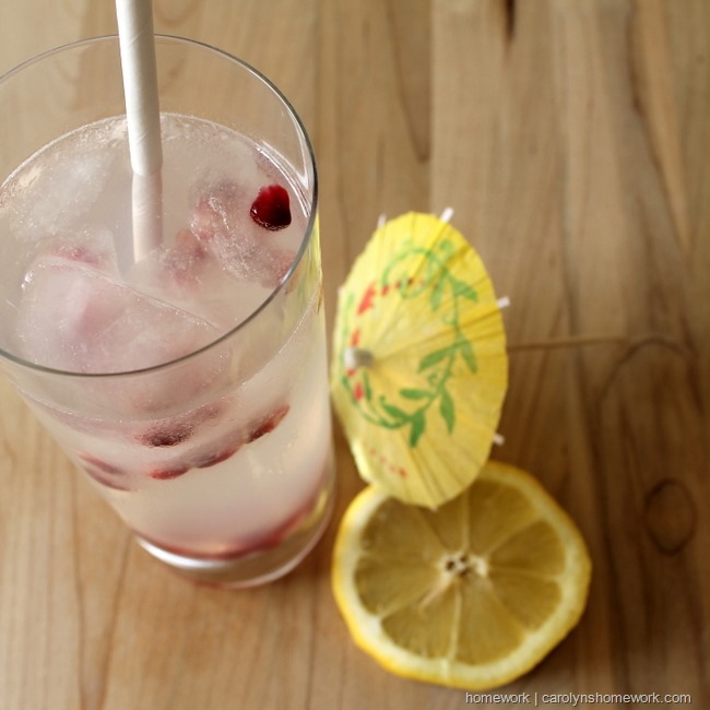 Pomegranate Lemonade Ice via homework  carolynshomework (1)