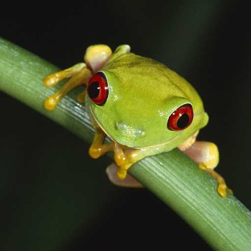 Hd-140595-ascw140595