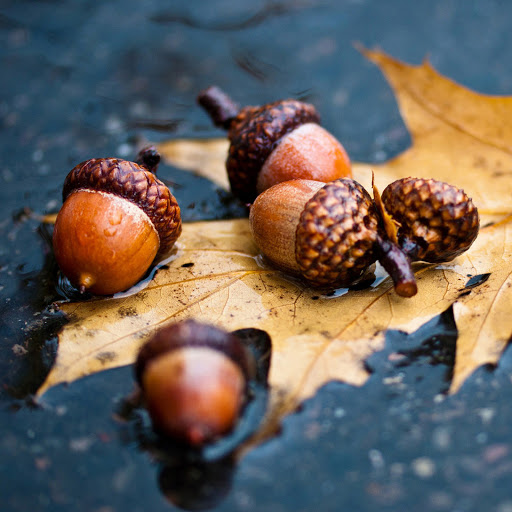 Hd-164994-ascw164994