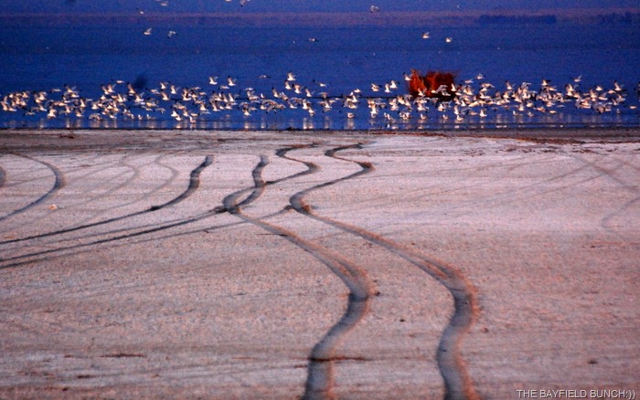 [DSC_5927%255B4%255D.jpg]