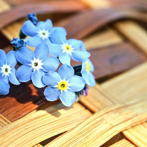 Hd-137282-ascw137282