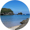Image Google de Allan Tissier