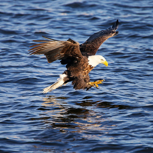 Hd-183327-ascw183327