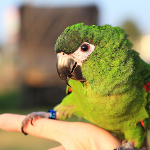 Hd-164699-ascw164699