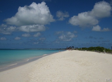 Barbuda_rosa_Sand