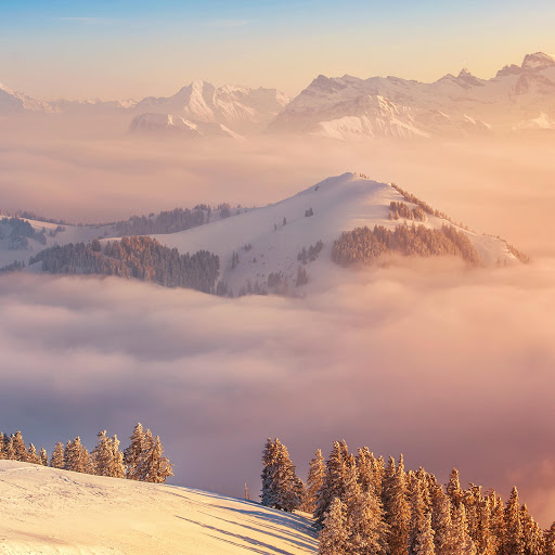 Hd-173113-ascw173113