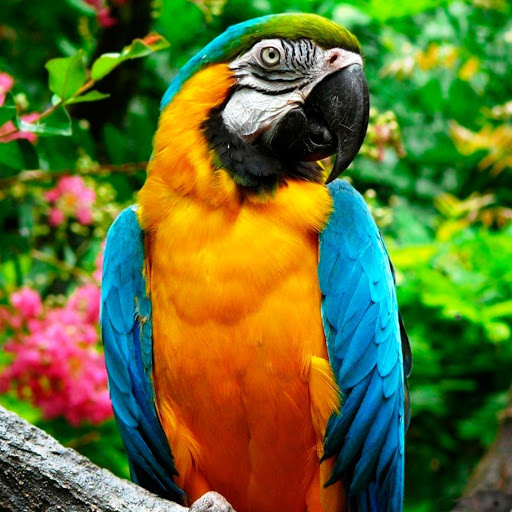 Hd-147293-ascw147293