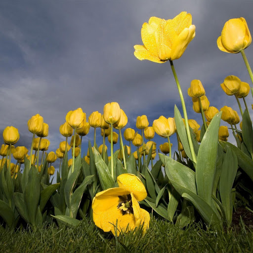 Hd-142973-ascw142973