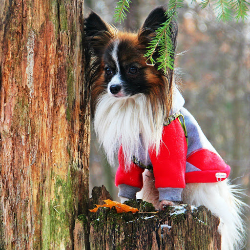 Hd-151154-ascw151154