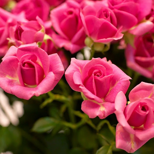 Hd-143943-ascw143943