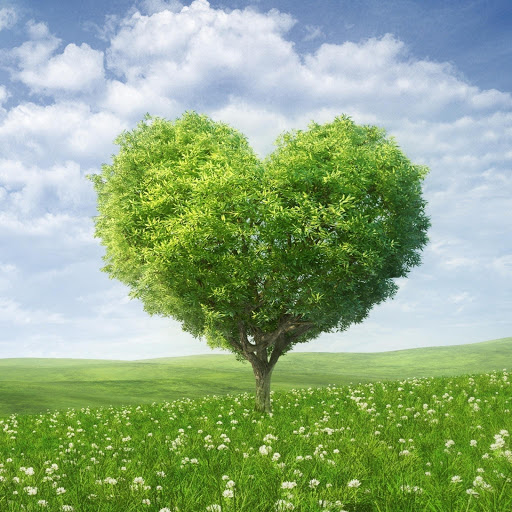 Hd-182655-ascw182655