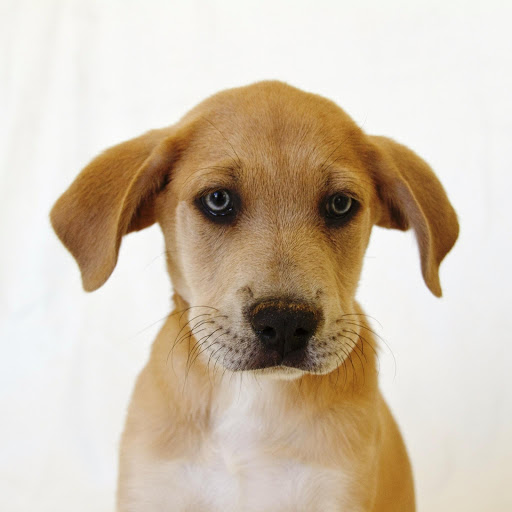 Hd-164545-ascw164545