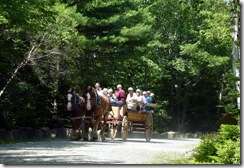 Carriage tour group