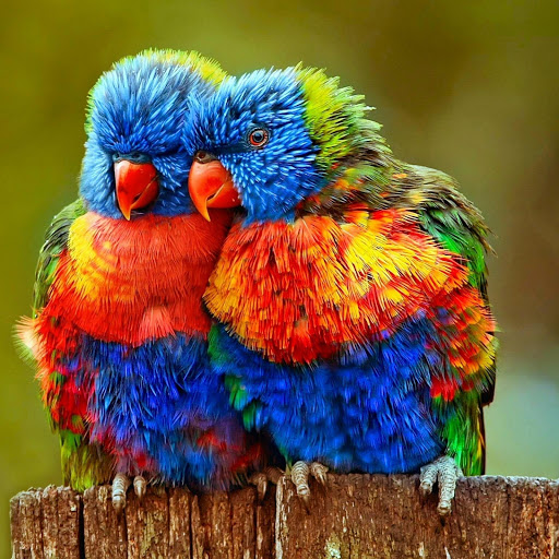 Hd-175751-ascw175751