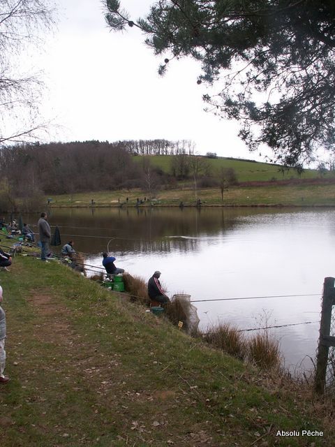 Etang de la tuilerie photo #1063